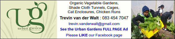 Urban Gardens
Organic Vegetable Gardens, Shade Cloth Tunnels, Cages, Cat Enclosures, Chicken Runs
Trevin van der Walt : 083 454 7047
See the Urban Gardens FULL PAGE AD
Please LIKE our Facebook page